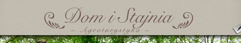 Dom i Stajnia logo